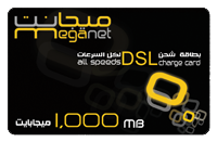MegaNet 1,000 MB