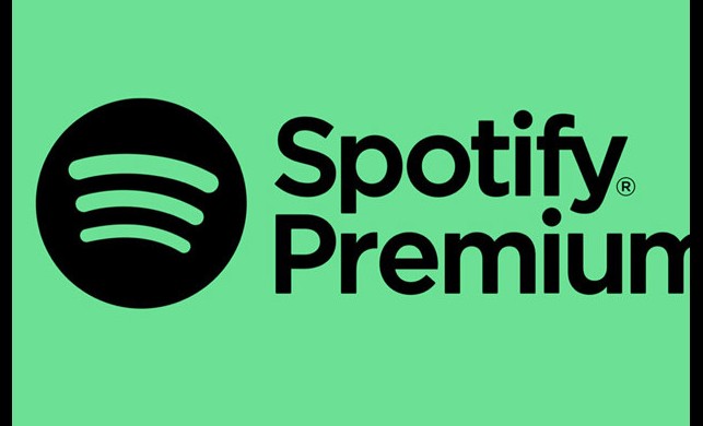 Spotify Premium 1 Month  Subscription