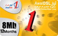 Awalnet DSL_8 MB Card 1 year